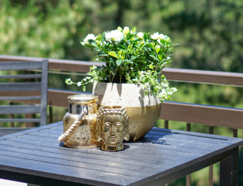 Gardening Guide: How To Quickly & Easily Update Your Patio